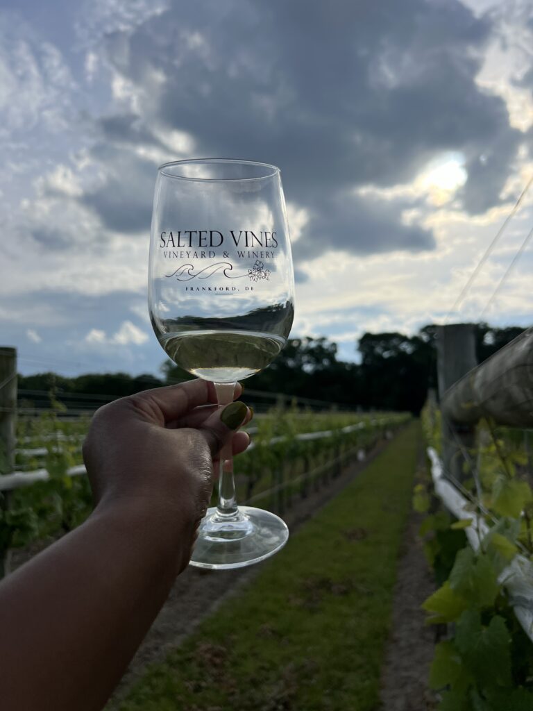 The vineyards at Salted Vines