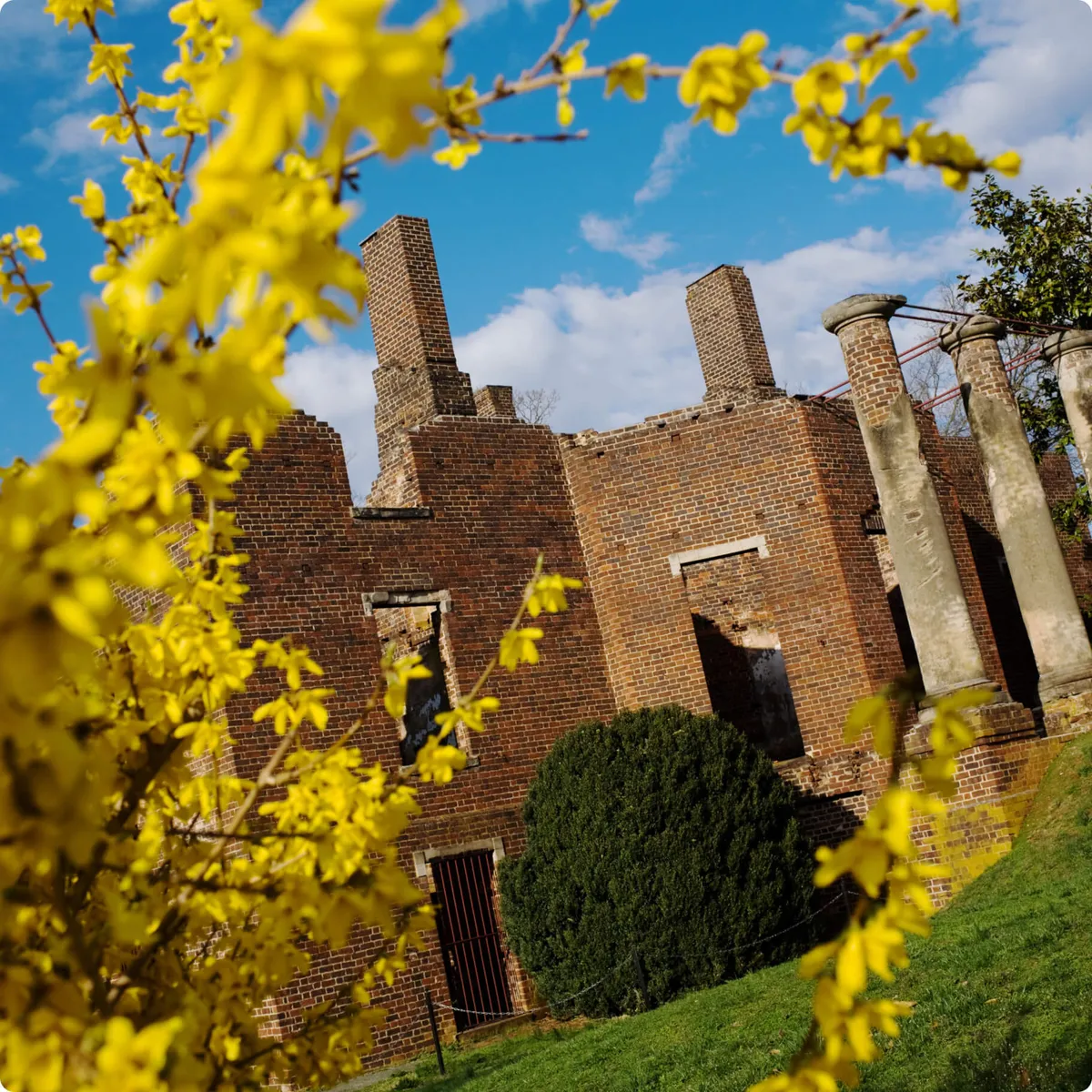 Barboursville ruins designed by Thomas Jefferson