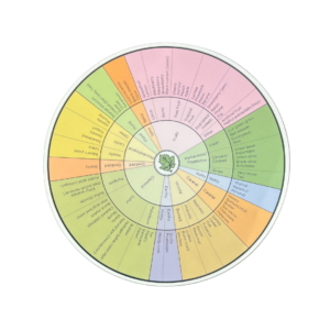 Wine Aroma Wheel